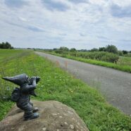 3. Along the Elbe